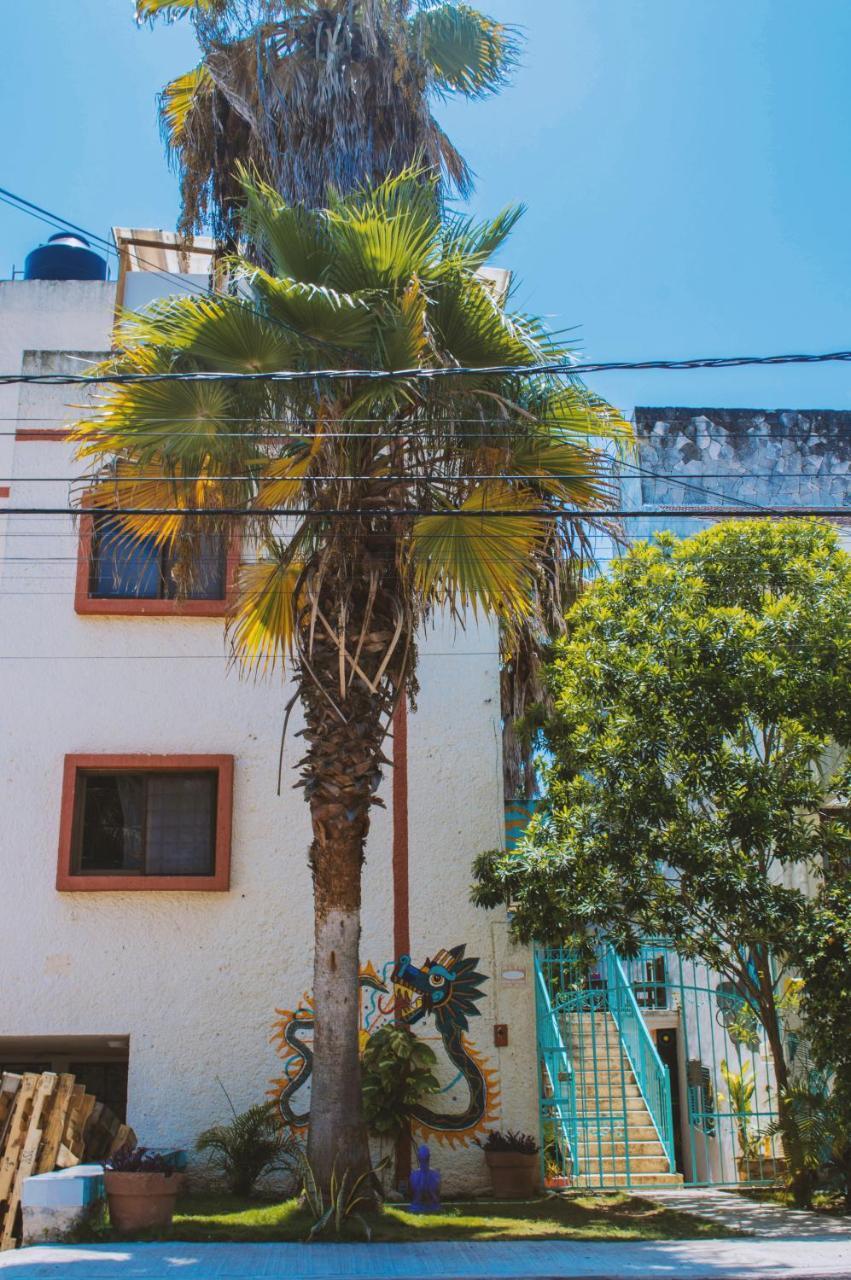 Kukulcan Hostel & Friends Cancun Dış mekan fotoğraf