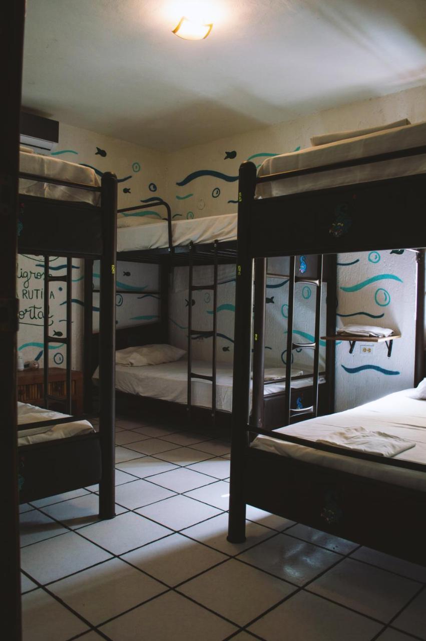 Kukulcan Hostel & Friends Cancun Dış mekan fotoğraf